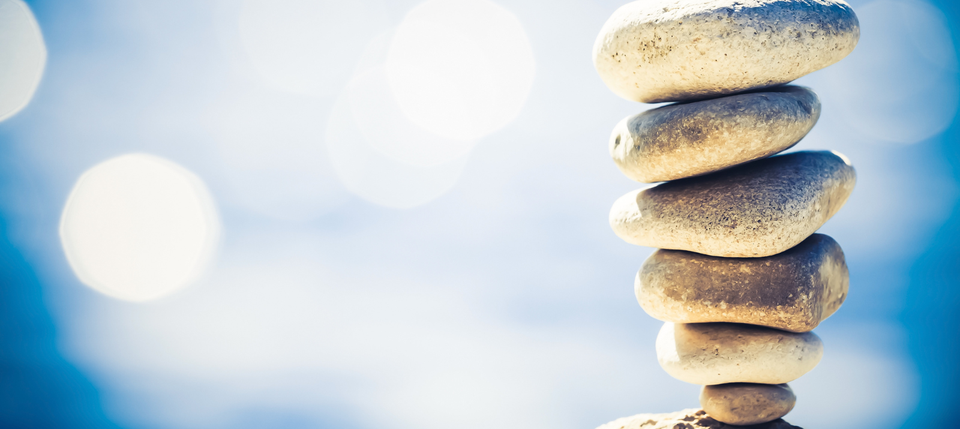 HOPA members talking at a HOPA Conference