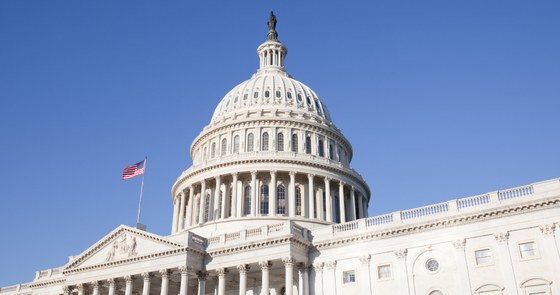 U.S. Capitol Building