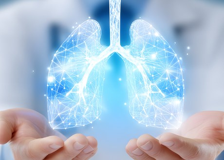 A doctor's hands holding an image of lungs