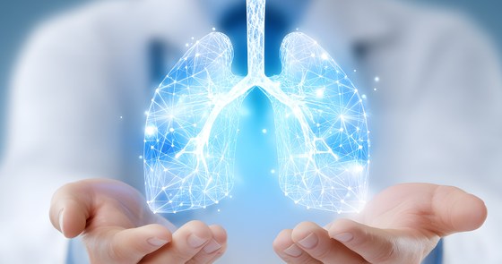 A doctor's hands holding an image of lungs