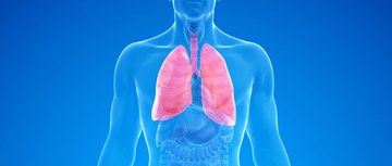 A graphic of a man's lungs on a blue background