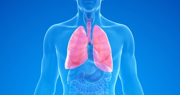 A graphic of a man's lungs on a blue background