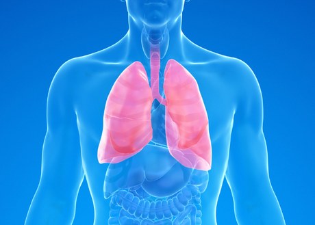A graphic of a man's lungs on a blue background
