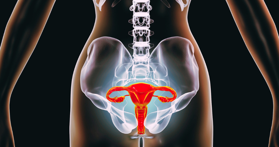 Female reproductive organs